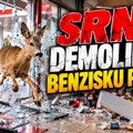 Srna proletela kroz izlog benzinske pumpe: Kasirka ostala u šoku, a onda je počela borba...!