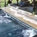 Zastrašujući snimci razornog zemljotresa u Panami: Ljudi vrište dok putevi pucaju (video)