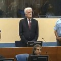 Radovan Karadžić tužio Veliku Britaniju: Traži 50.000 funti jer ne može da drži laptop u ćeliji