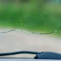 Napukla vam je šoferšajbna? Ne čekajte da se pogorša, već sredite odmah jednostavno – evo kako!