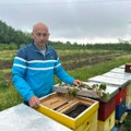 Prolećni izazovi za pčelarstvo u čačanskom kraju: Vreme diktira dinamiku i prinos pčelarske sezone