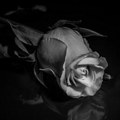Tragedija Ćerka (19) poznatog voditelja pronađena mrtva