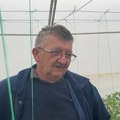 Domaćin Jordan iz Zaječara sam napravio solarni sistem na njivi: Ima 10 plastenika, radi samo sa suprugom od 5 ujutru, a evo…