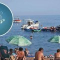 Otrovna riba snimljena u Jadranskom moru: Ako vidite ovo stvorenje, nikako joj ne prilazite (foto)