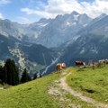Čist vazduh za klimatsku akciju – zagađenje i dalje veliki rizik po zdravlje