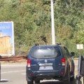 Srpsko nacionalno veće KiM optužilo Vučića za Banjsku: Omogućio Kurtiju veći teror nad Srbima