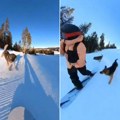 Dramatičan snimak sa Kopaonika! Skijaša napao čopor usred staze, jedva se izvukao i dobio ugriz! (video)
