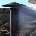 Da li je ovo znak od boga? Galebica sa bebom sletela tik pred ispuštanje belog dima! Vernici u ekstazi (video)