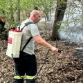 Vatrena stihija u Boru stavljena pod kontrolu: Ziđin Koper među prvima u pomoći