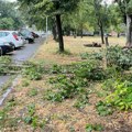 Oluja prošla, nova stiže večeras! Evo u koje vreme vreme opet počinje snažno nevreme! I temperatura će osetno pasti