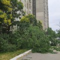 Nevreme u Srbiji: Prekidi struje, požari i oborena stabla širom zemlje
