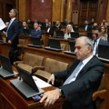 Ponoš: Za evropski put neophodna smena vlasti, ponovni izbor Vučića bio bi skok u provaliju