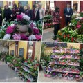 Osmomartovska izložba cveća u Kruševcu: Za svakog po nešto, cene i do 7.000 dinara