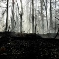 Majka rešila misteriju nestanka devojčica iz Kragujevca: Evo šta se zaista dogodilo u šumi!
