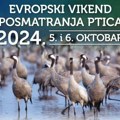 Sve besplatno! Neverovatna prilika za fenomenalan vikend u Srbiji: Nezaboravni izleti s posmatranjem ptica 5. i 6. oktobra