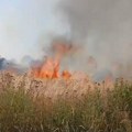 Veliki požar u Dobrosinu kod Bujanovca, više od 25 detonacija (video)