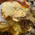 Sladoled od 95 evra koji je podelio Italiju – luksuz, tradicija ili provokacija?