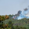(Foto, video) Požar se opasno približio naseljima "Kada ode u krošnje, tu su ugroženi ljudski životi!": Vatrom zahvaćena šuma…