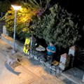 Vuk se ušunjao među kuće i prišao čoveku ispred prodavnice. Nova zver u omiljenom srpskom letovalištu