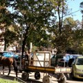 Skupljači starog gvožđa: Nesvakidašnja slika danas na ulicama Novog Sada