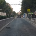Centar za razvoj Pomoravlja – Umesto rehabilitacije ulica, građani Ćuprije dobili nezakonito ugrađenu kaldrmu