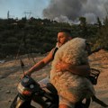 Fotografija koja je obišla svet: Muškarac spasava ovcu na motociklu tokom požara u Patri