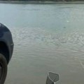 Šok scena u Novom Sadu: Ukraden automobil visi sa nasipa, a pored ljudi bezbrižno pecaju!