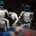 Prvi put u svetu: Humanoidni roboti operisali žive životinje, uklonili žučnu kesu svinjama uz asistenciju hirurga
