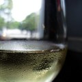 Od vojvođanskih vinograda do najskuplje boce na svetu: Priča o belom vinu