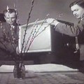 Radio-televizija Srbije slavi rođendan – priča koja traje 68 godina
