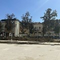 Kragujevac: Posađena nova stabla na Trgu Radomira Putnika