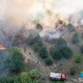 U požaru u Radanovačkoj šumi izgorelo 50 hektara šume i rastinja