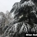 Vatrogasci u Srbiji spasili deset osoba iz opština pod vanrednim stanjem zbog snega