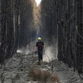 Balkan u vatrenom obruču: Gori nacionalni park, kritično na Dinari