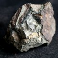 NASA proučava jedan meteorit sa Marsa: Pronađen u Sahari, star više od četiri milijarde godina