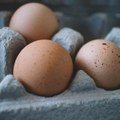 Hrvatska proizvodi najmanje jaja u EU