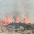 Gori nisko rastinje u Babinama kod Prijepolja, požar se širi ka kućama