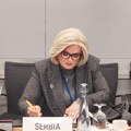 Tabaković: Ekonomski rast u Srbiji rezultat dobre politike, strane investicije stabilne