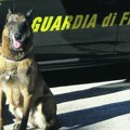 Policijski pas nanjušio drogu, našao dve kile heroina u štek pregradi automobila Mladić (26) uhapšen u Bogutovcu