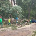 Sve komunalne službe u Novom Sadu angažovane na uklanjanju posledica nevremena