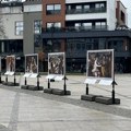 30 fotografskih reprodukcija iz stalne kolekcije Prada na trgu u Leskovcu