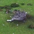 Srušio se helikopter Kraljevske mornarice: Tragedija u Velikoj Britaniji, poginule tri osobe