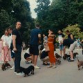 Jazavičari okupili veliki broj Beograđana: Vlasnici su nam otkrili šta vas zaista čeka s ovom rasom (video)