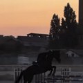 "Galopiraj nebeskim stazama" Potresne reči majke dečaka (13) koji je umro nakon nesreće na hipodromu u Kovilovu: Poznato i…
