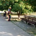 JKP „MEDIANA“ UREĐUJE NIŠ: Košenje, zalivanje, čišćenje ulica i kontrola stabala širom grada