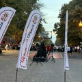 Agencija utvrdila kršenje zakona u kampanji SNS-a u 26 gradova, među njima i Sremskoj Mitrovici
