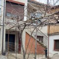 Komšije kao braća! Vranjanci jovica i Nenad nemaju zid između svojih dvorišta: Pre 15 godina zasadili kivi na međi (foto)