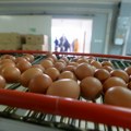 Evropska komisija uvodi carinu na jaja i ovas iz Ukrajine, godišnja kvota dozvoljenog uvoza već dostignuta