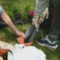 Zelena učionica kod kuće: Ideje za porodične ekološke radionice