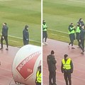 Nenad Lalatović se prekstio u Novom Sadu: Pogledajte njegovu reakciju posle gola Pazara